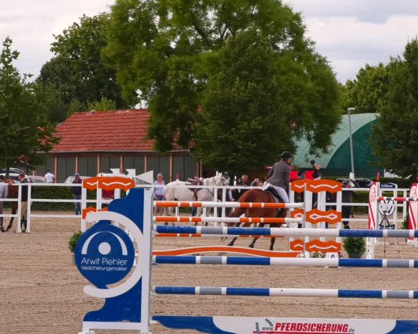Reitturnier Neustadt/Dosse 2022