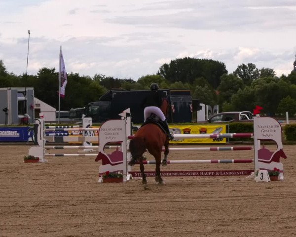 Reitturnier Neustadt/Dosse 2022