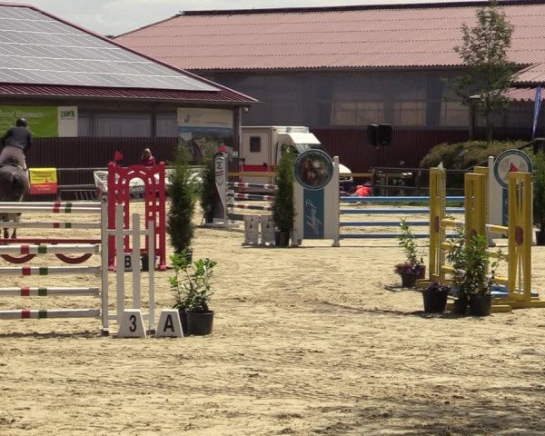 Reitturnier Marienheide-Kempershöhe 2022