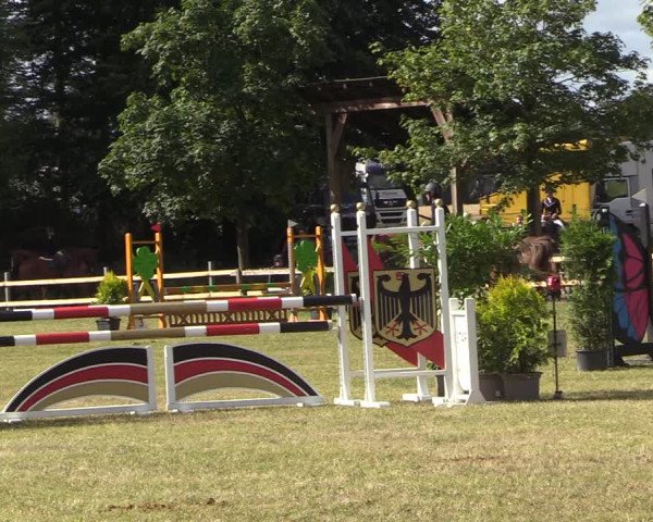 Reitturnier Greven 2022