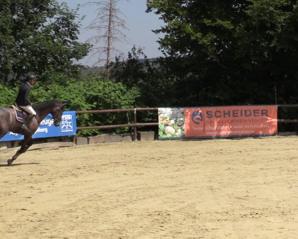 Reitturnier Marienheide-Kempershöhe 2022