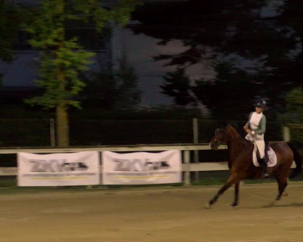 Reitturnier Dagmersellen 2022