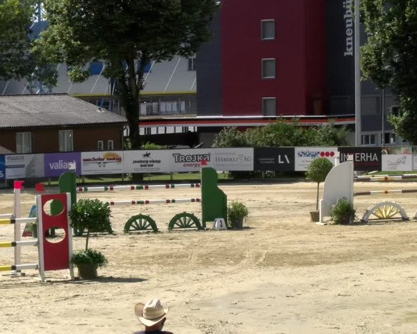 Reitturnier Dagmersellen 2022
