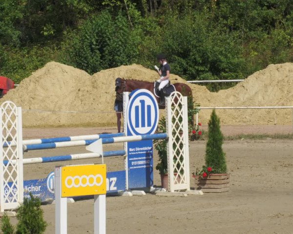 Reitturnier Heiligenwald 2022