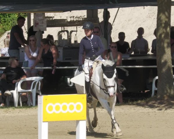 Reitturnier Heiligenwald 2022