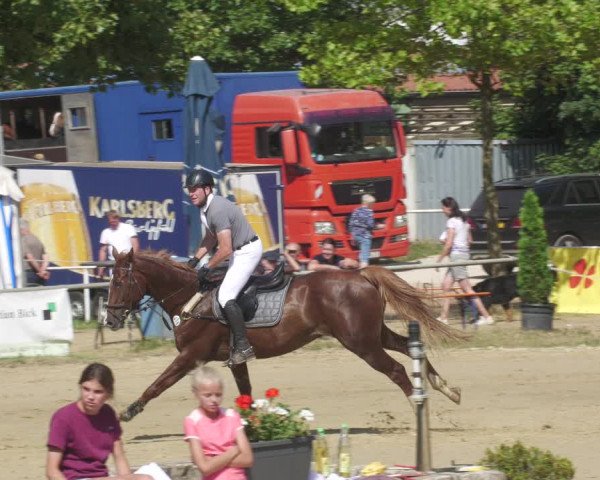 Reitturnier Heiligenwald 2022