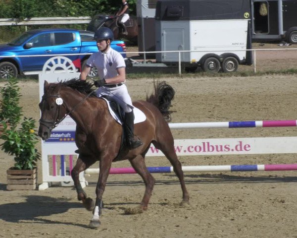 Reitturnier Heiligenwald 2022