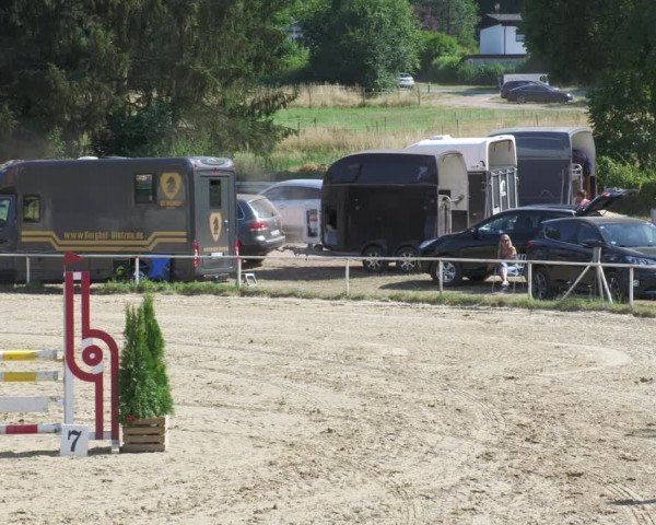 Reitturnier Heiligenwald 2022