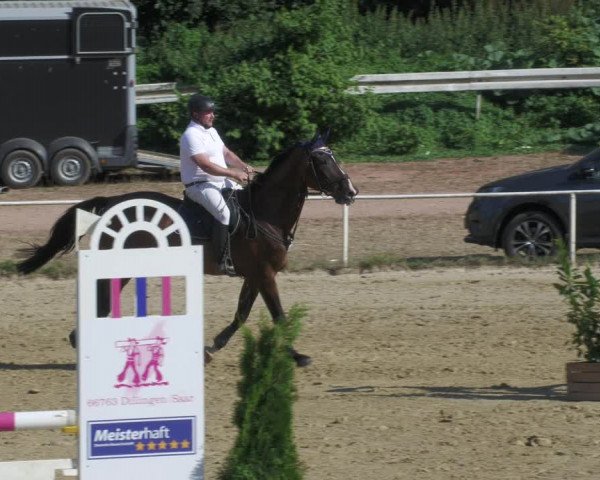 Reitturnier Heiligenwald 2022