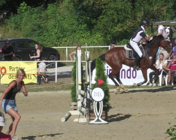 Reitturnier Heiligenwald 2022