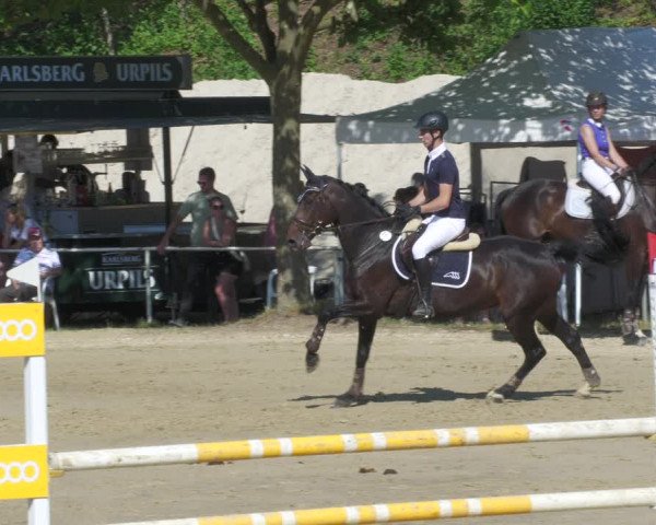 Reitturnier Heiligenwald 2022