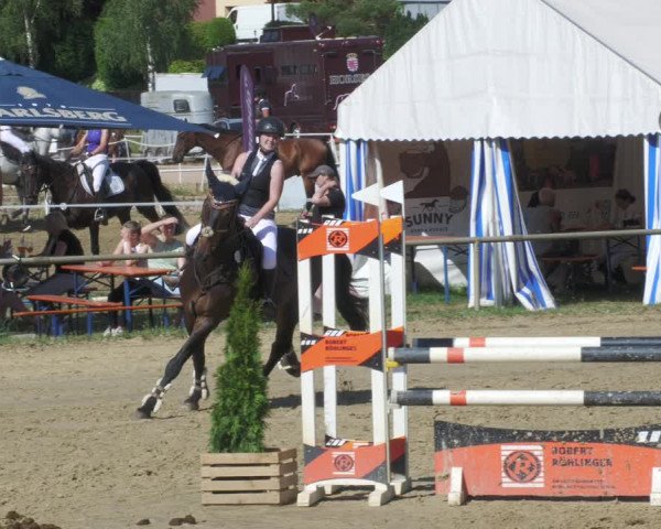 Reitturnier Heiligenwald 2022