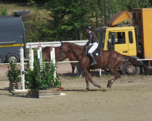 Reitturnier Heiligenwald 2022
