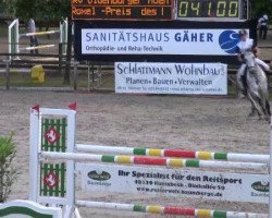 jumper Consul 77 (Holsteiner, 2004, from Contender)