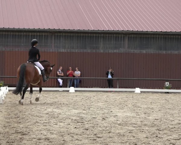 Reitturnier Marienheide-Kempershöhe 2022