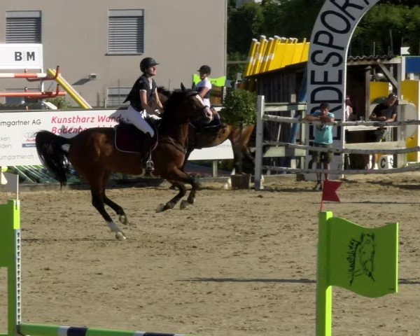 Reitturnier Dagmersellen 2022