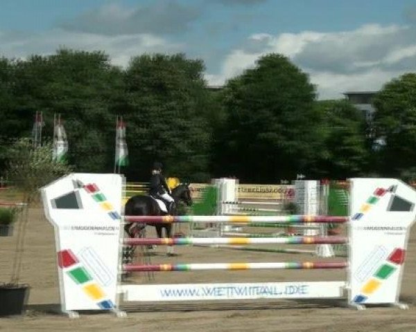 jumper Pretty in Black (German Riding Pony, 2007, from Renoir)