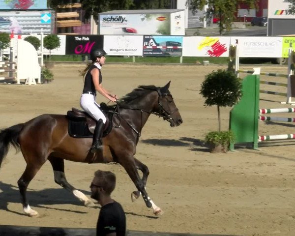 Reitturnier Dagmersellen 2022