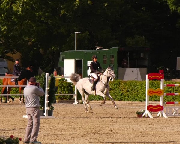 Reitturnier Neustadt/Dosse 2022