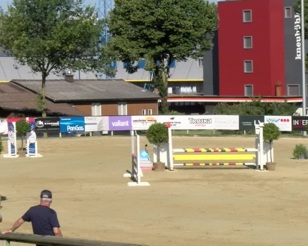 Reitturnier Dagmersellen 2022