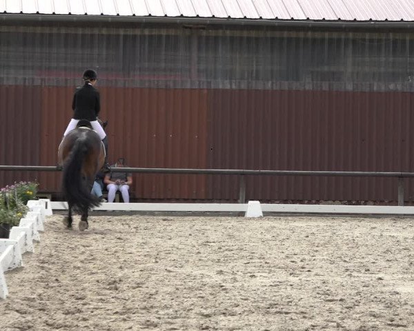 Reitturnier Marienheide-Kempershöhe 2022