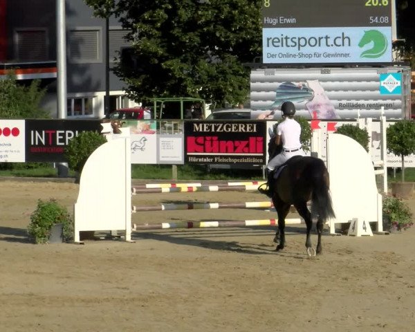 Reitturnier Dagmersellen 2022