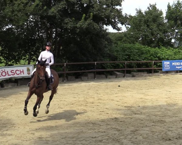 Reitturnier Marienheide-Kempershöhe 2022