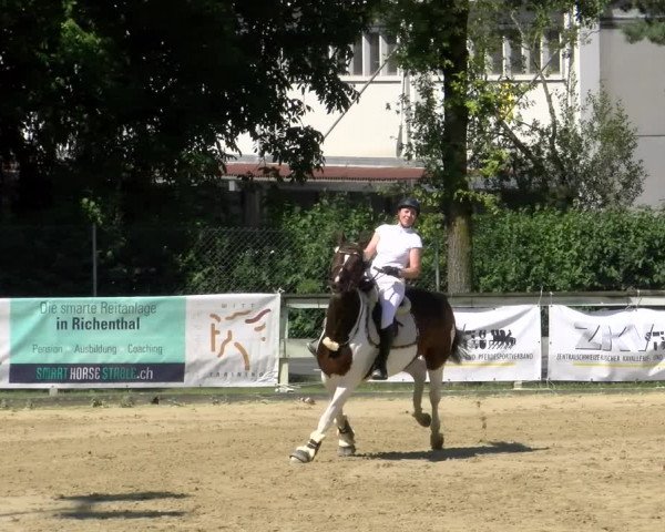 Reitturnier Dagmersellen 2022