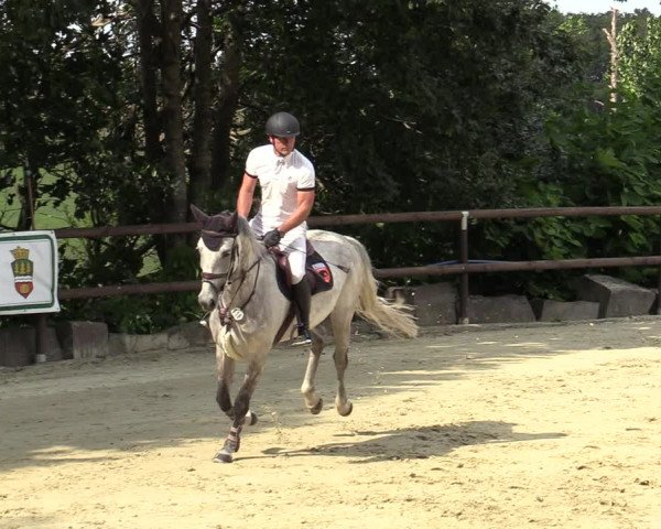 Reitturnier Marienheide-Kempershöhe 2022