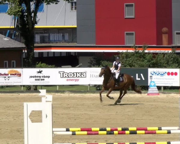 Reitturnier Dagmersellen 2022