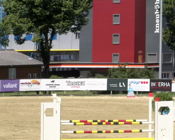 Reitturnier Dagmersellen 2022