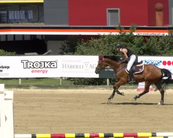 Reitturnier Dagmersellen 2022