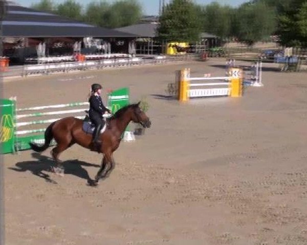 broodmare Cher (Zweibrücken, 1996, from C.i.a.) broodmare Cher (Zweibrücken, 1996, from C.i.a.)