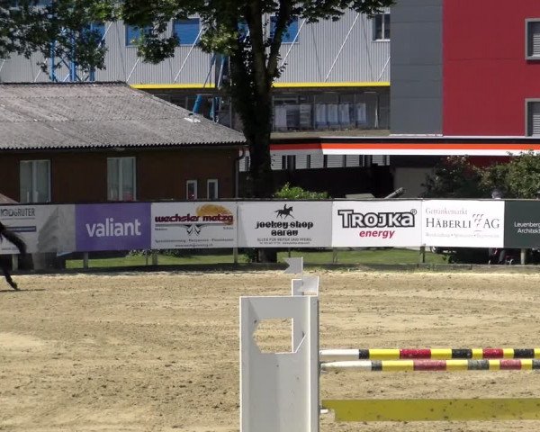 Reitturnier Dagmersellen 2022