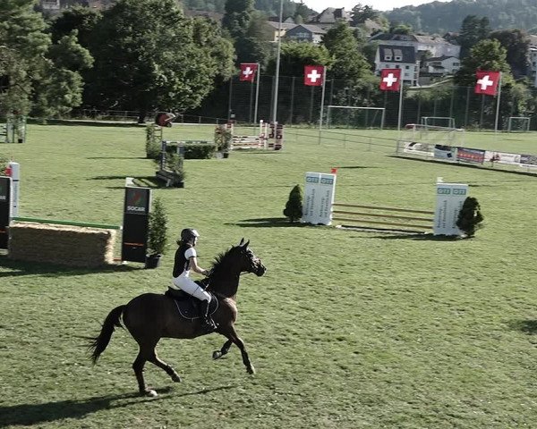 Reitturnier Elgg 2022