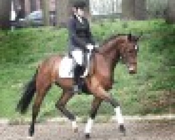 Horse Luna M (Rhinelander, 2009, from Lord Loxley I)