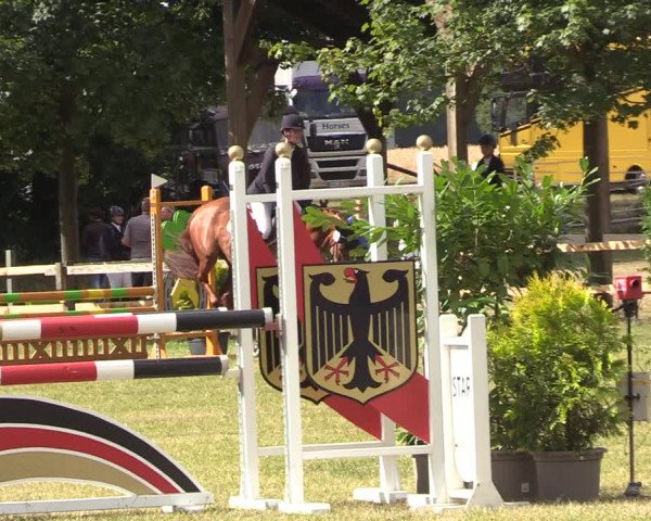 Reitturnier Greven 2022