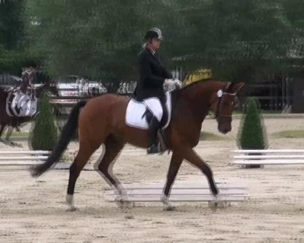 Dressage horse Falcon S (Westphalian, 2006, from Florestan I)