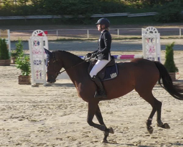 Reitturnier Heiligenwald 2022