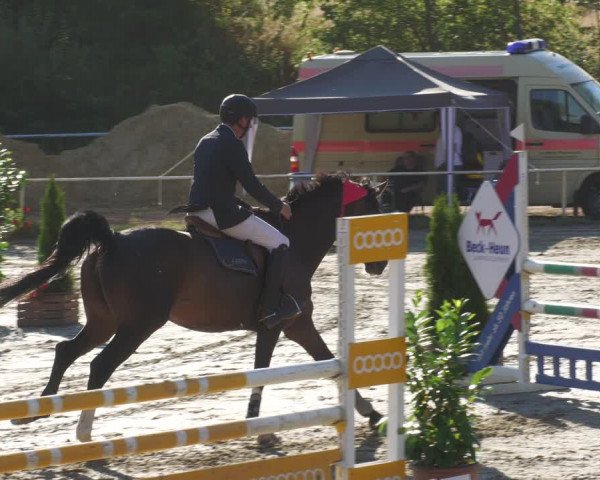 Reitturnier Heiligenwald 2022