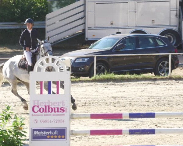 Reitturnier Heiligenwald 2022