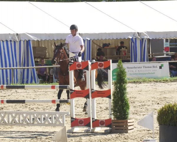 Reitturnier Heiligenwald 2022