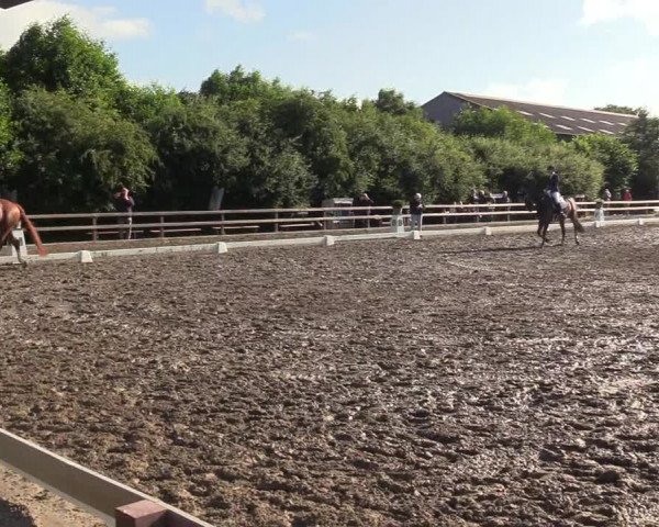 Reitturnier Kleinsolt 2022