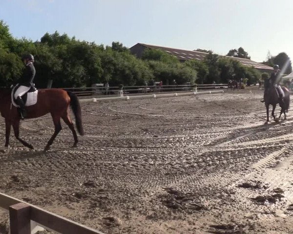 Reitturnier Kleinsolt 2022