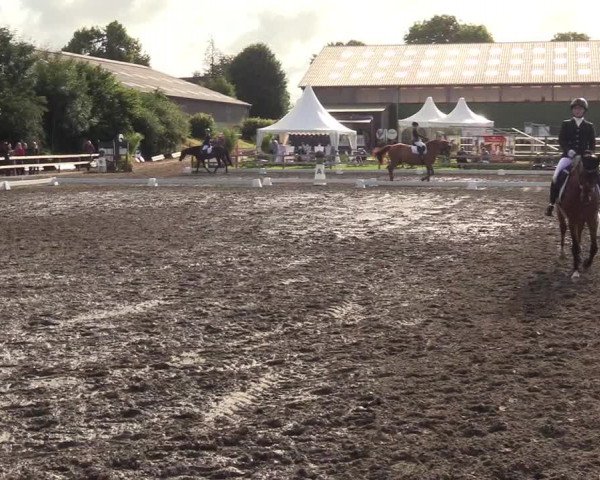 Reitturnier Kleinsolt 2022