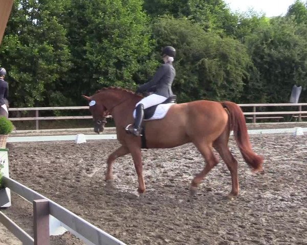 Reitturnier Kleinsolt 2022