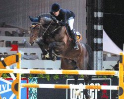stallion Careful 28 (Oldenburg, 1995, from Contender)