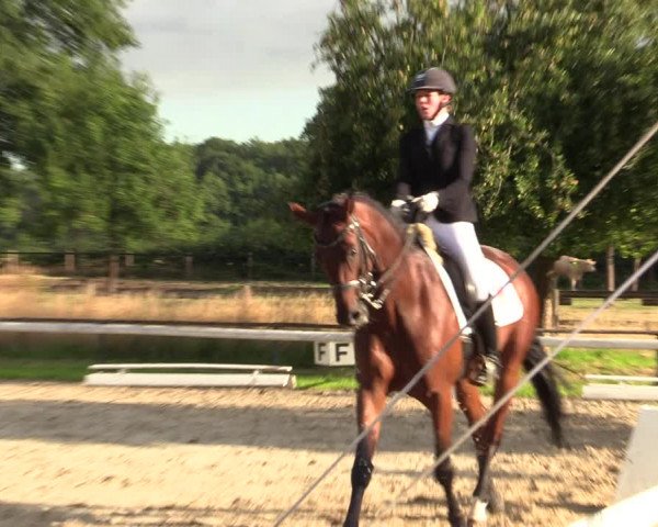 Reitturnier Recklinghausen 2022