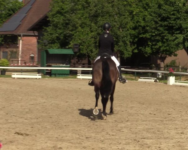Reitturnier Recklinghausen 2022