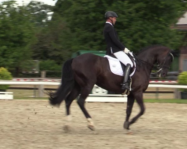 Reitturnier Recklinghausen 2022